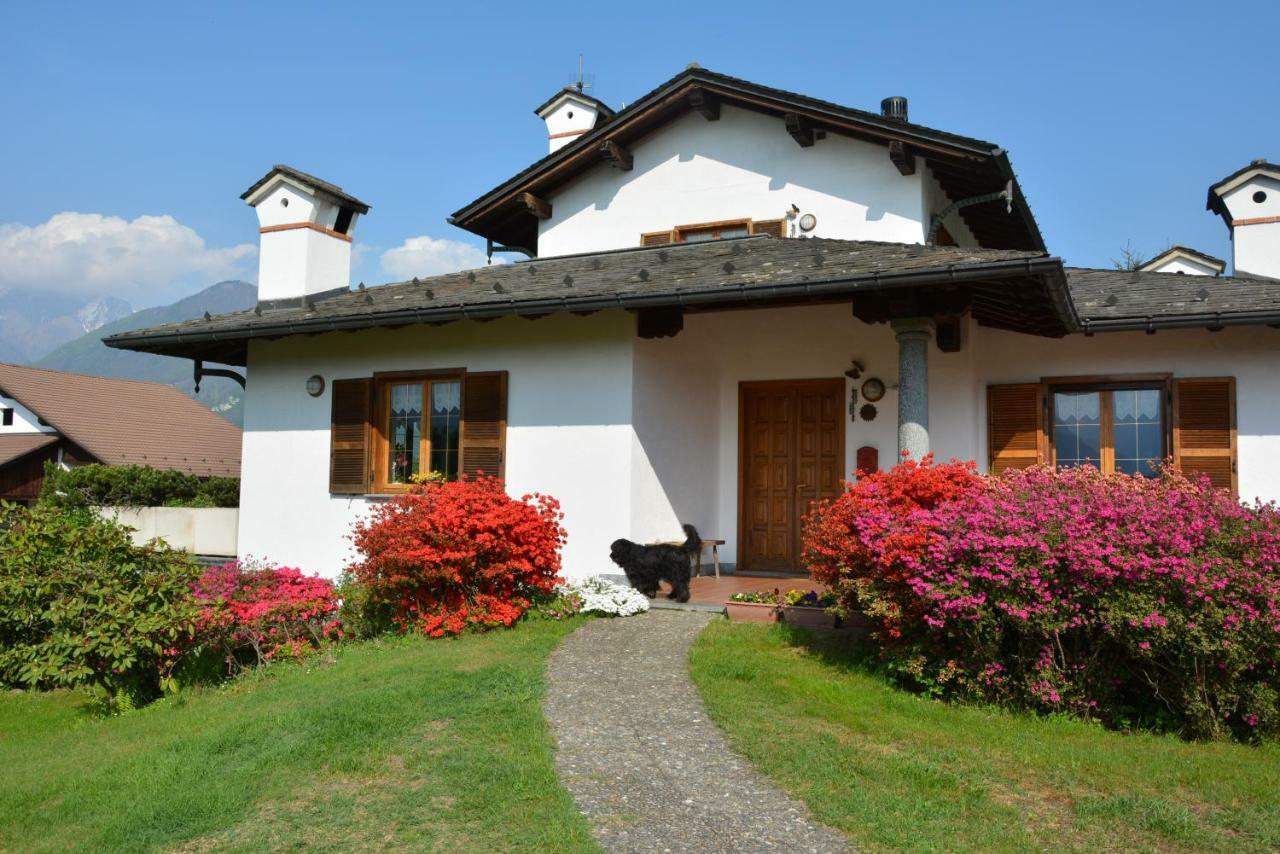 Villa Palma 科利科 外观 照片